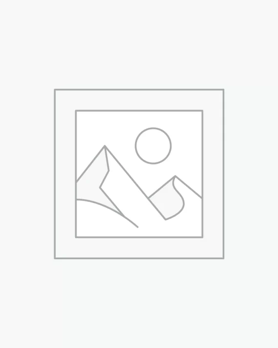 Birch veneer Armchair